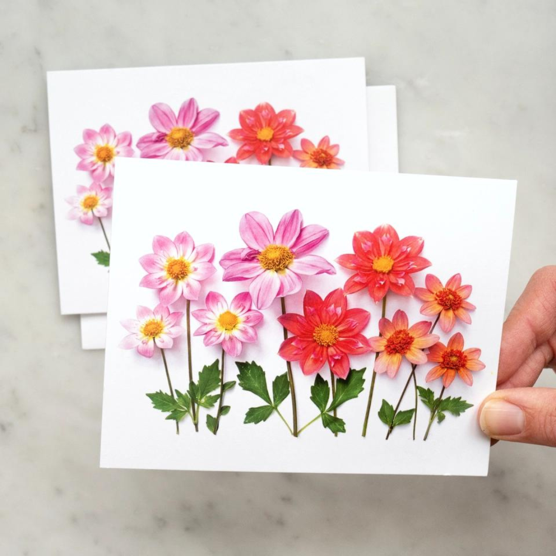 Dahlias Card | Bottle Branch | Handmade Greeting Cards – beryl