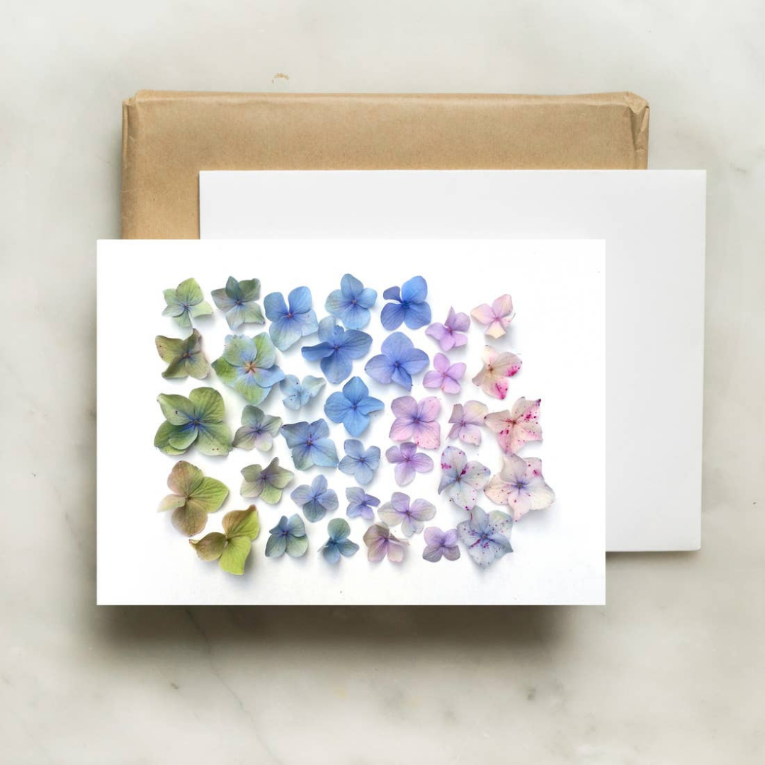 Bottle Branch Hydrangea Ombre Card | Stationary & Gifts | Northampton ...