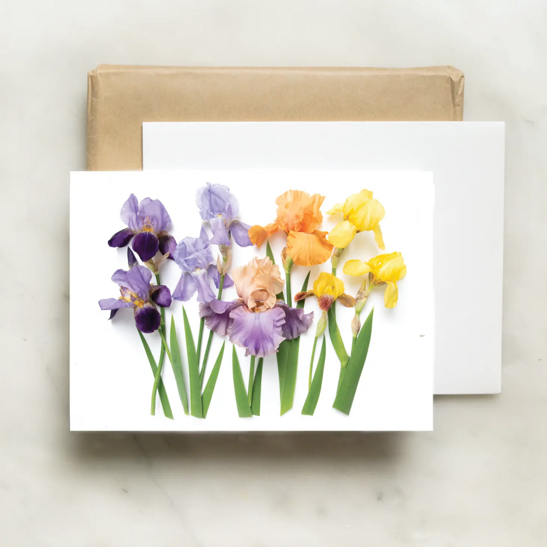 Bottle Branch Irises Card | Stationary & Gifts | Northampton, MA – beryl