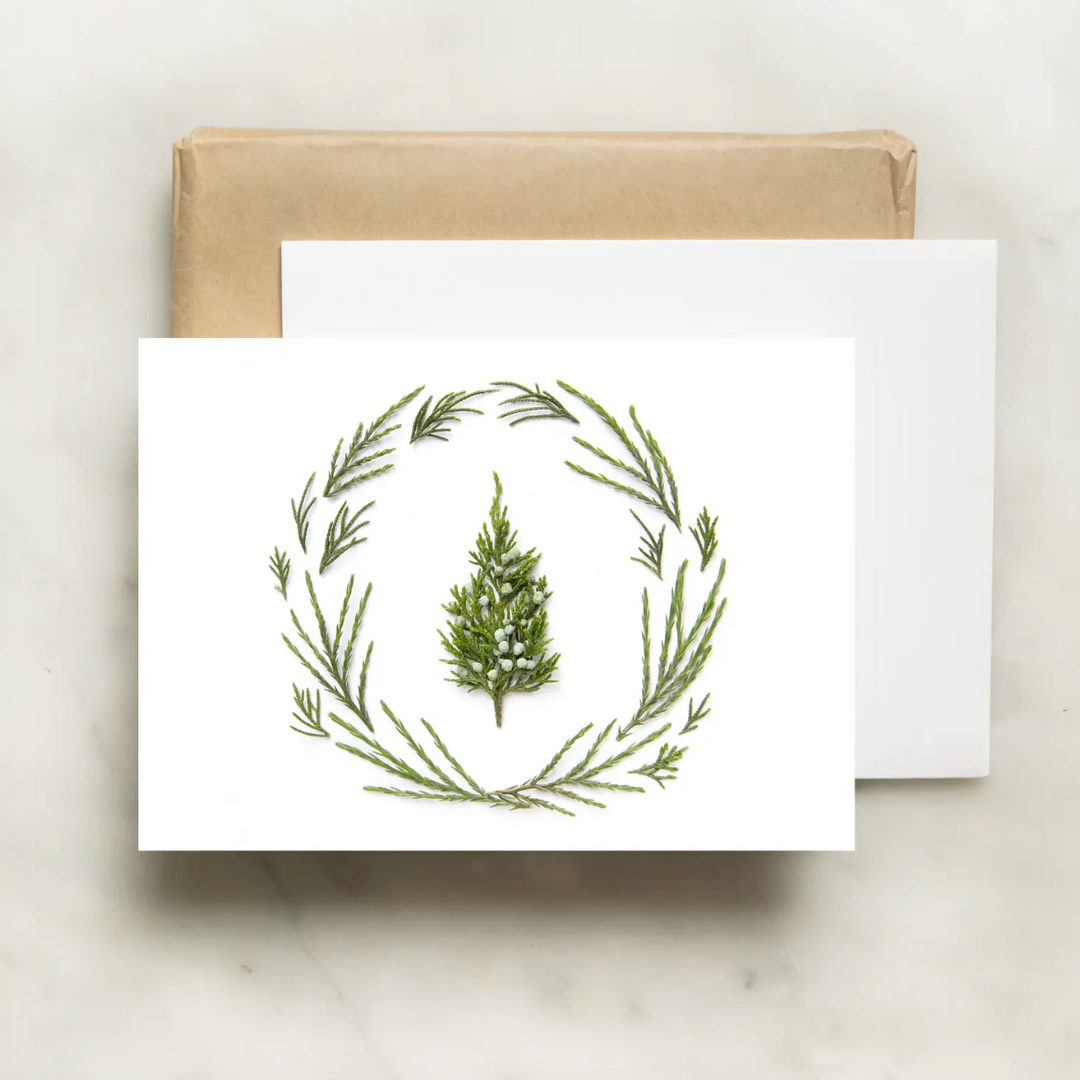 Bottle Branch Tiny Evergreen Tree Card | Stationary & Gifts ...